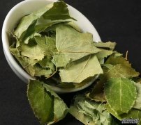 淫羊藿：从采摘到使用，有讲究